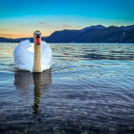 Lakes And Mountains Magic House Casa vacanze *