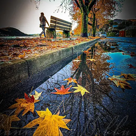 Dom wakacyjny Lakes And Mountains Magic House