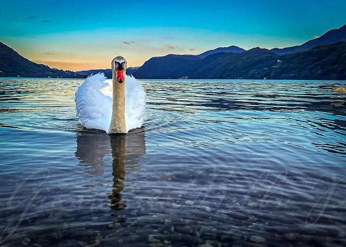 Lakes And Mountains Magic House Casa vacanze *